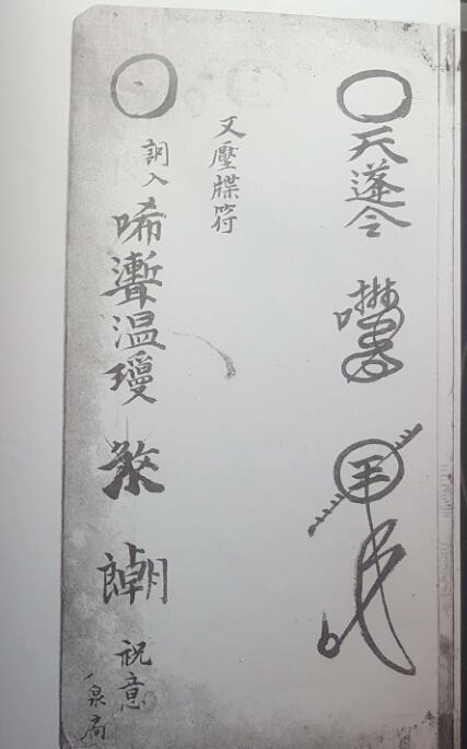 崇真堂温帅符秘(图4)