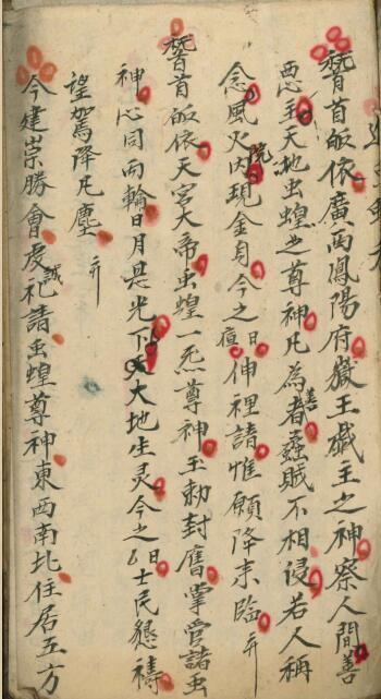 進虫蝗科.pdf(图2)