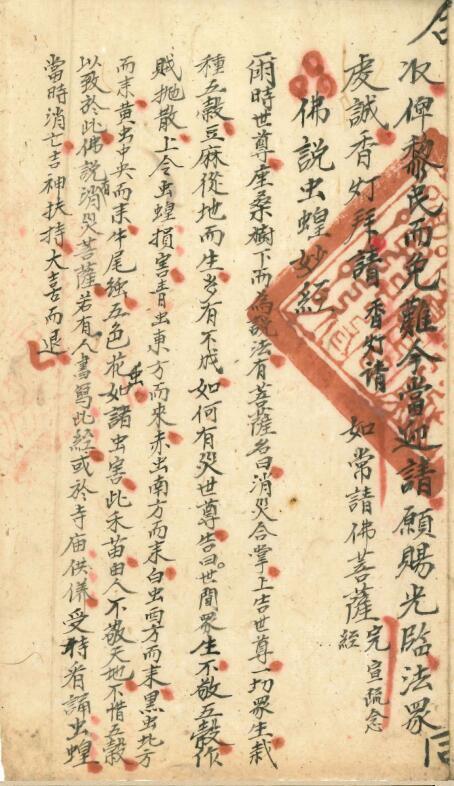 進虫蝗科.pdf(图4)