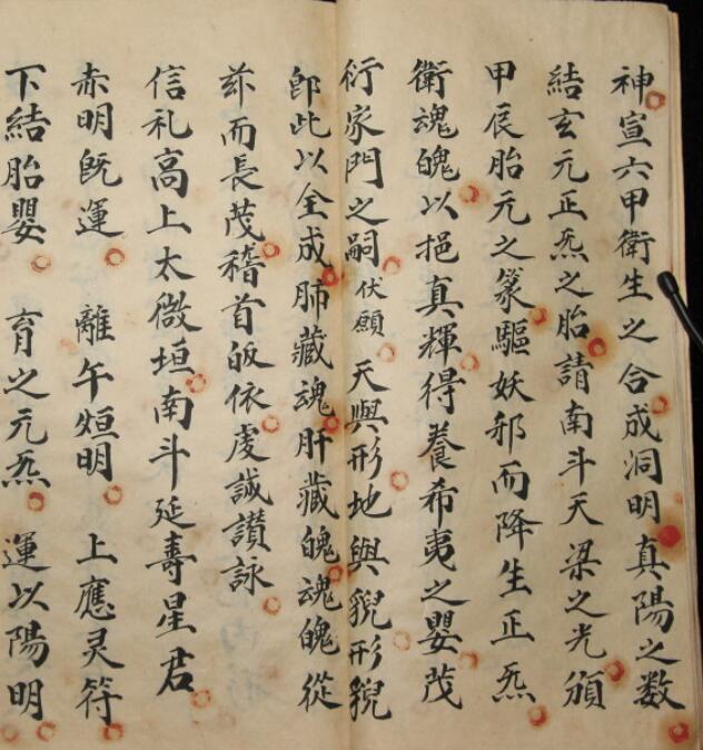 保胎灯科(图2)