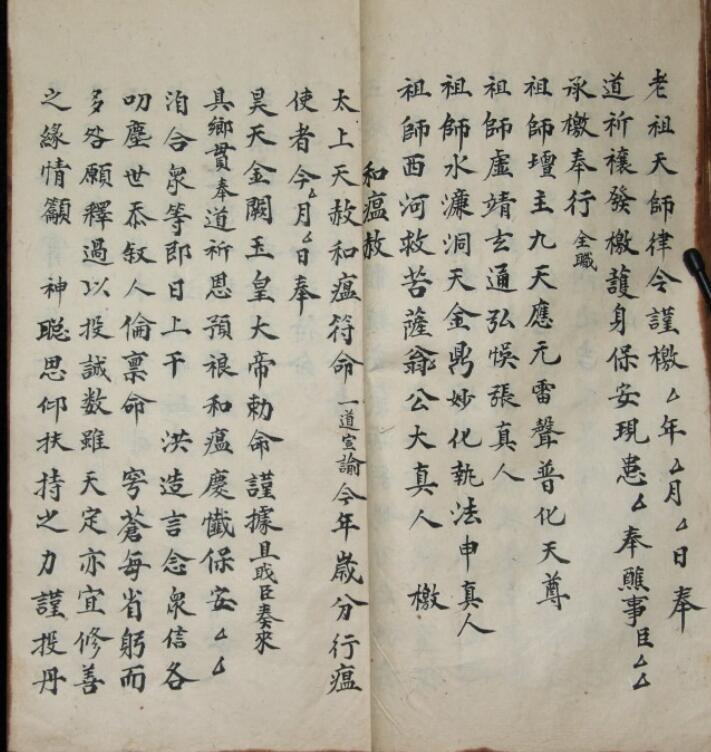 保胎灯科(图3)