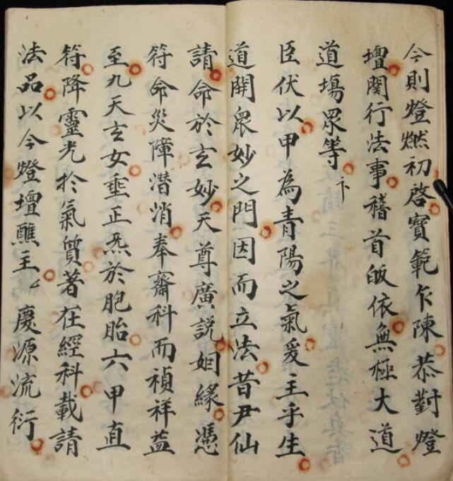保胎灯科(图4)
