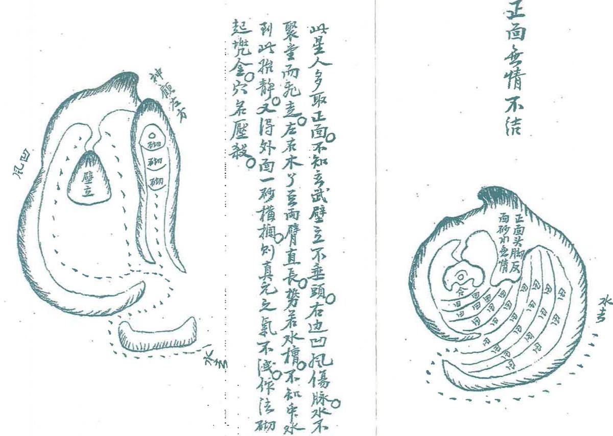 严可珍《望气寻真决》97页双面版(图8)