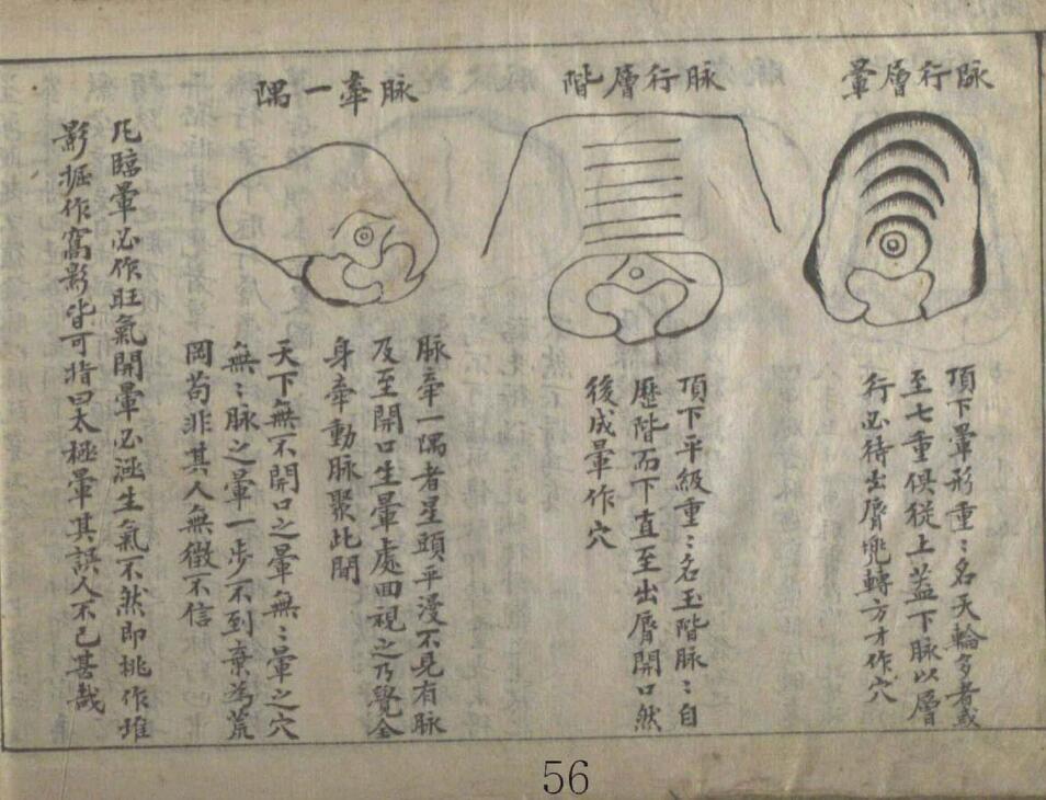 地学 (韩藏)(图6)
