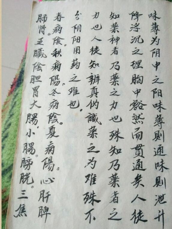 道医术道医符法结合贯穿无名书PDF百度网盘下载(图5)
