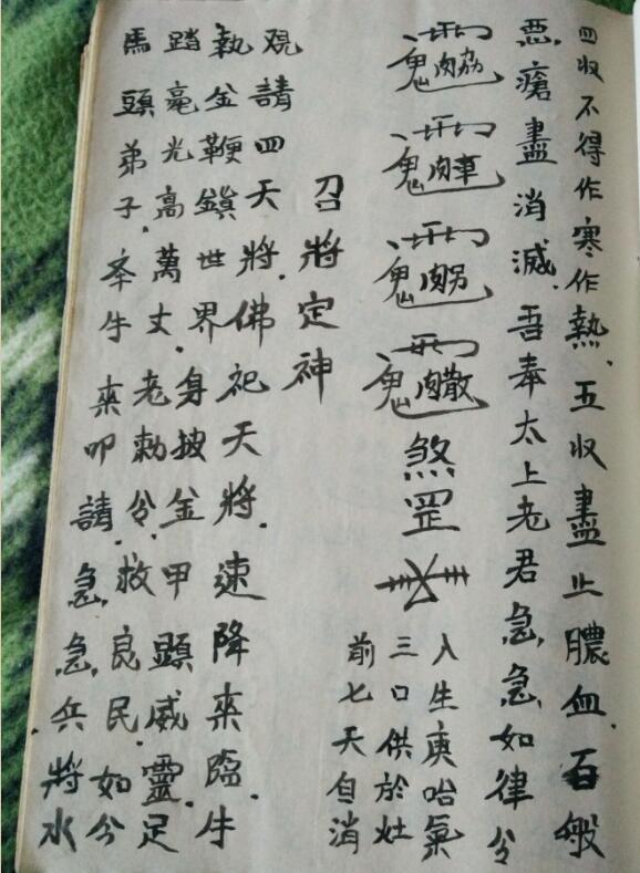 道医术道医符法结合贯穿无名书PDF百度网盘下载(图7)