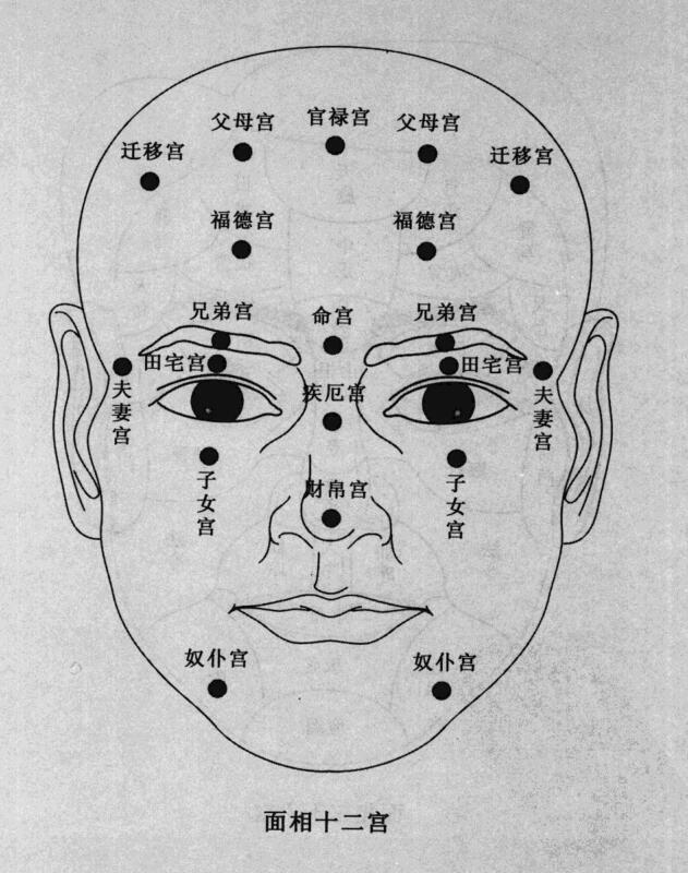 财运密码-看面相，知运势(图2)