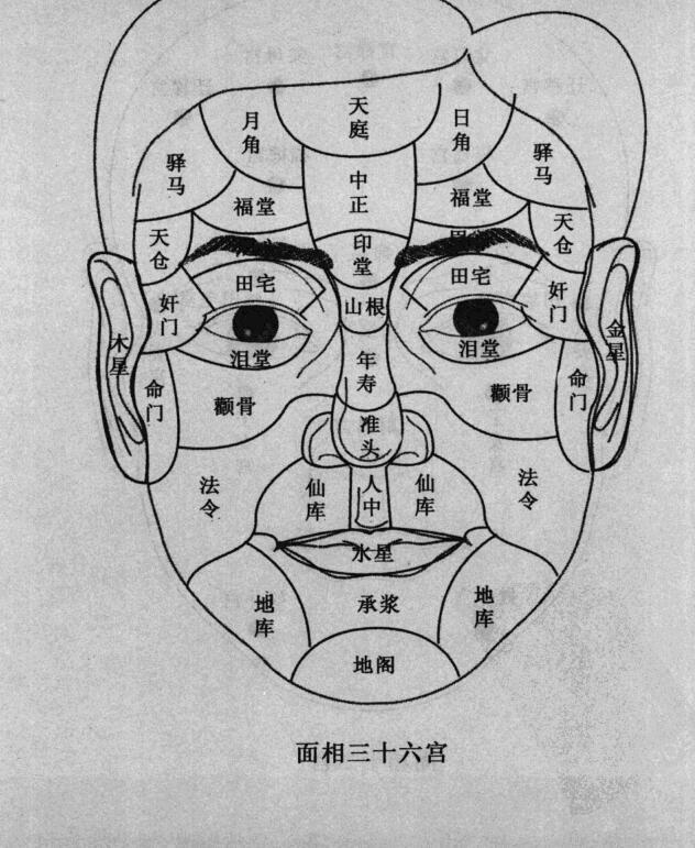 财运密码-看面相，知运势(图3)