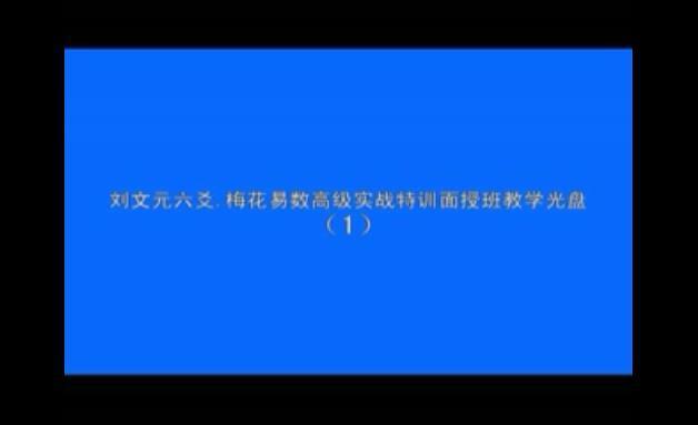 刘文元2008年梅花易数六爻高级实战特训面授班录像83个视频(图1)