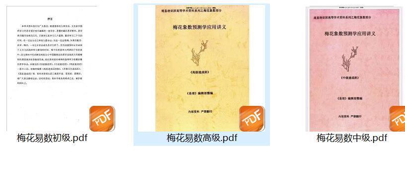 梅花易数《梅花象数预测学应用讲义》(图4)